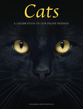 Hardcover Cats: A Celebration of Our Feline Friends Book