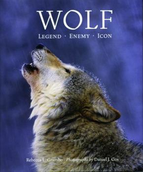 Hardcover Wolf: Legend, Enemy, Icon Book