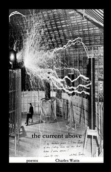 Paperback The Current Above Book