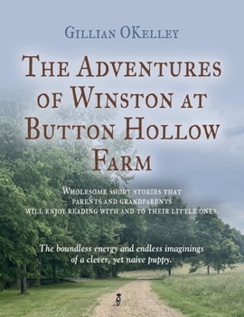 Paperback The Adventures of Winston at Button Hollow Farm Book
