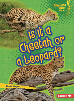Paperback Is It a Cheetah or a Leopard? Book