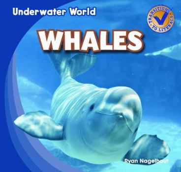 Whales / Ballenas (Underwater World / El Mundo Submarino) - Book  of the Underwater World