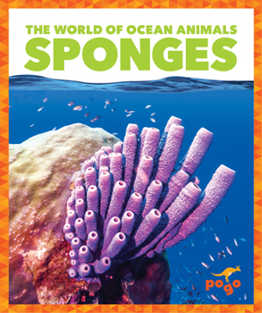 Paperback Sponges Book