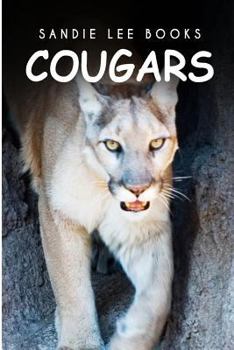 Paperback Cougars - Sandie Lee Books Book