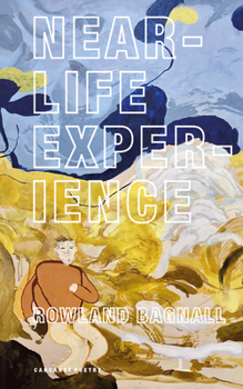 Paperback Near-Life Experience Book