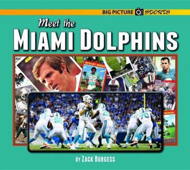 Hardcover Meet the Miami Dolphins Book