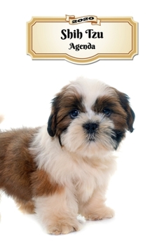 Paperback 2020 Shih Tzu Agenda: 107 Pagine - Dimensioni DIN A5 - Pianificatore Settimanale - 12 Mesi - Due Pagine Per Settimana - Calendario - Diario [Italian] Book