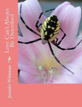 Paperback Love Can't Always Be Described Book