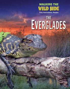 Hardcover The Everglades Book