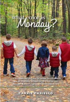 Paperback What Color Is Monday? Book