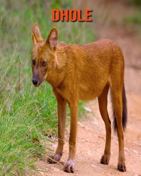 Paperback Dhole: Beautiful Pictures & Interesting Facts Children Book About Dhole Book