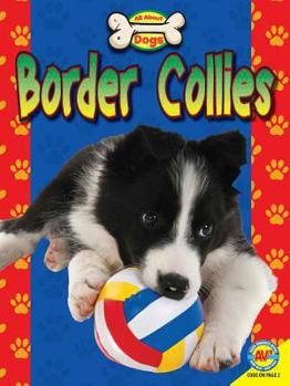 Paperback Border Collies Book