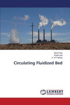 Paperback Circulating Fluidized Bed Book