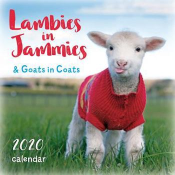 Calendar 2020 Lambies in Jammies & Goats in Coats Mini Calendar: By Sellers Publishing Book