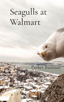 Paperback Seagulls at Walmart Book