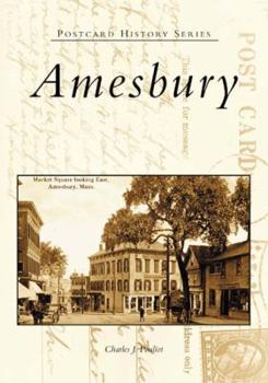 Paperback Amesbury Book
