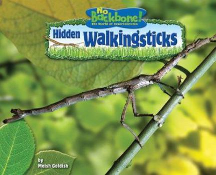 Library Binding Hidden Walkingsticks Book