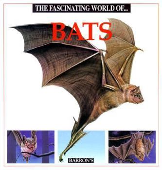 Paperback The Fascinating World of Bats Book