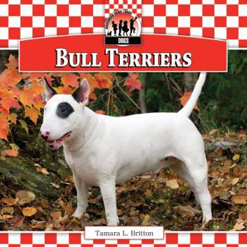Library Binding Bull Terriers Book