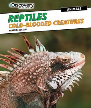 Paperback Reptiles: Cold-Blooded Creatures Book