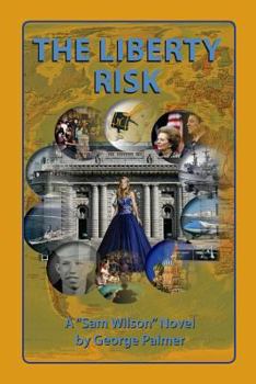 Paperback The Liberty Risk: Nobody can be that stupid! Book