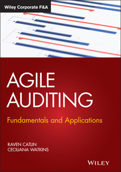 Hardcover Agile Auditing: Fundamentals and Applications Book