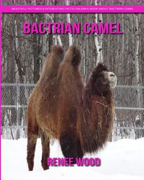 Paperback Bactrian camel: Beautiful Pictures & Interesting Facts Children Book About Bactrian camel Book