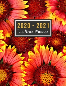 Paperback 2020-2021 Two Year Planner: 2020-2021 monthly planner full size - Jan 2020 - Dec 2021 - 24 Months Agenda Planner with Holiday - Personal Appointme Book