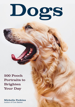Paperback Dogs: 500 Pooch Portraits to Brighten Your Day Book