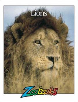 Hardcover Lions Book