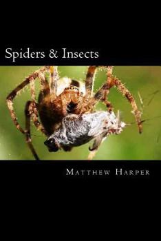 Paperback Spiders & Insects: Two Fascinating Books Combined Together Containing Facts, Trivia, Images & Memory Recall Quiz: Suitable for Adults & C Book