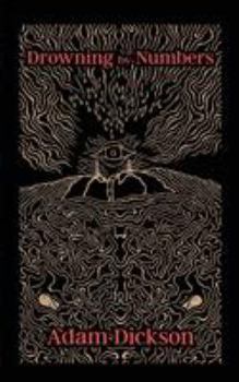 Paperback Drowning by Numbers Book