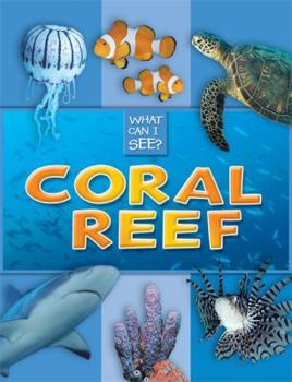 Paperback What Can I See?: Coral Reef Book