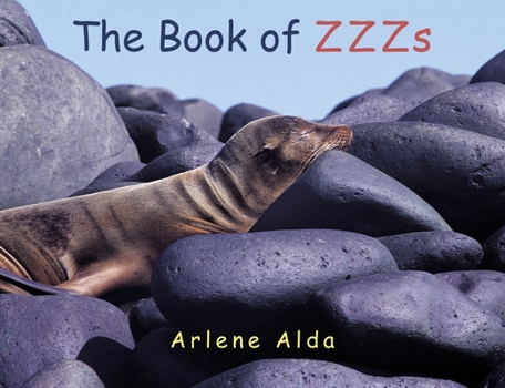 Board book The Book of ZZZs Book