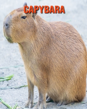 Capybara: Beautiful Pictures & Interesting Facts Children Book About Capybara