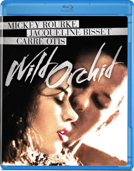 Wild Orchid