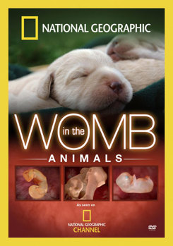 DVD National Geographic: In The Womb - Animals Book