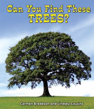 Can You Find These Trees? - Book  of the All About Nature