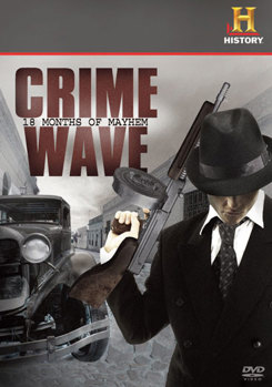 DVD Crime Wave: 18 Months of Mayhem Book