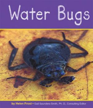 Hardcover Water Bugs Book