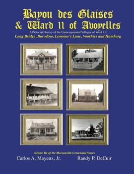 Paperback Bayou des Glaises & Ward 11 of Avoyelles: Long Bridge, Borodino, Lemoine's Lane, Voorhies and Hamburg Book