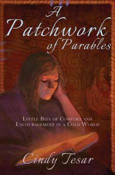 Paperback A Patchwork of Parables: Little Bits of Encouragement and Comfort in a Cold World Book