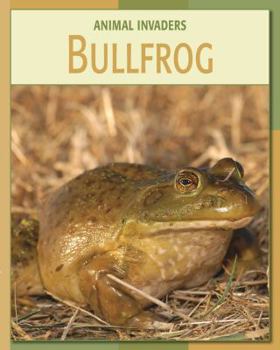 Library Binding Bullfrog Book