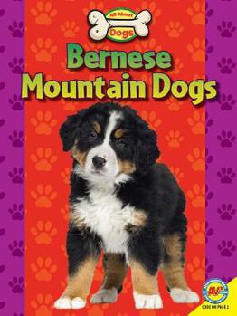 Bernese Mountain Dogs - Book  of the All about Dogs