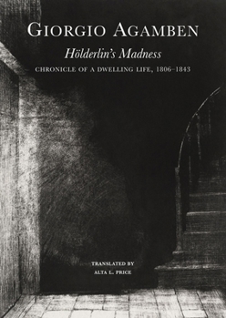 Hardcover Hölderlin's Madness: Chronicle of a Dwelling Life, 1806-1843 Book