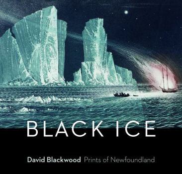 Paperback Black Ice Book