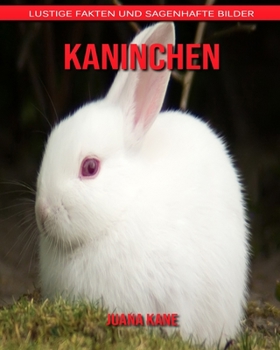 Kaninchen: Lustige Fakten und sagenhafte Bilder