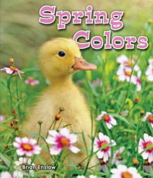 Paperback Spring Colors Book