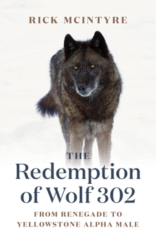 The Redemption of Wolf 302: From Renegade to Yellowstone Alpha Male - Book #3 of the Alpha Wolves of Yellowstone