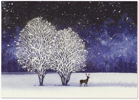 Misc. Starry Night Deluxe Boxed Holiday Cards Book